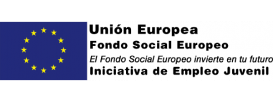 Contratación Estable de Jóvenes Dirección General del Servicio Público de Empleo