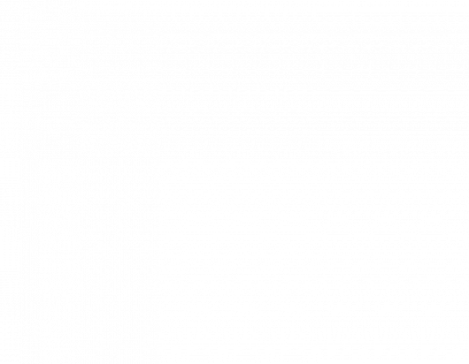 A reference institute for science